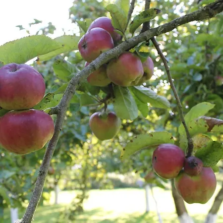 Penzion 4 Places, Le Domaine De La Vallee 4*