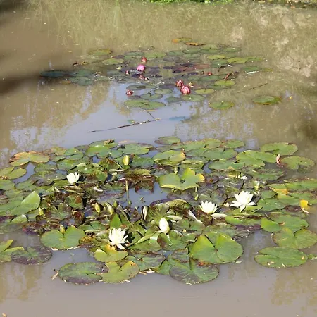 4 Places, Le Domaine De La Vallee Penzion Saint-Martin-de-Varreville