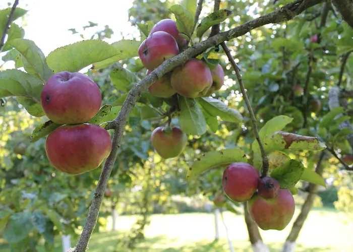 Pensjonat 4 Places, Le Domaine De La Vallee 4*