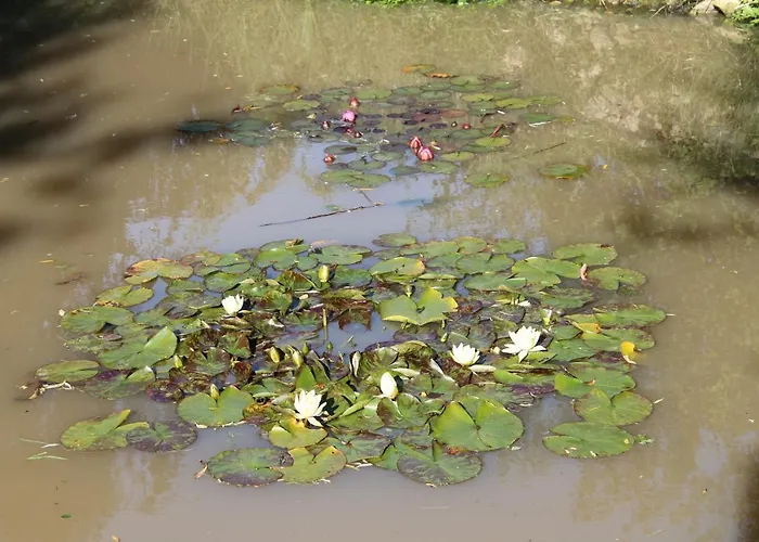 4 Places, Le Domaine De La Vallee Pensjonat Saint-Martin-de-Varreville